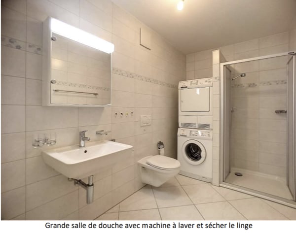 A vendre charmant 2.5 pièce au centre ville de Sion avec garage 5