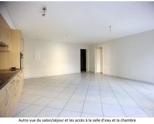 A vendre charmant 2.5 pièce au centre ville de Sion avec garage 3