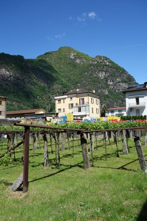 Terreno di 1219 m2 con licenza approvata 2