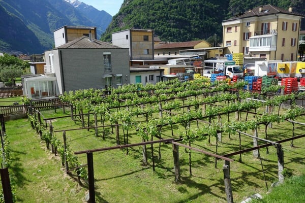 Terreno di 1219 m2 con licenza approvata 3