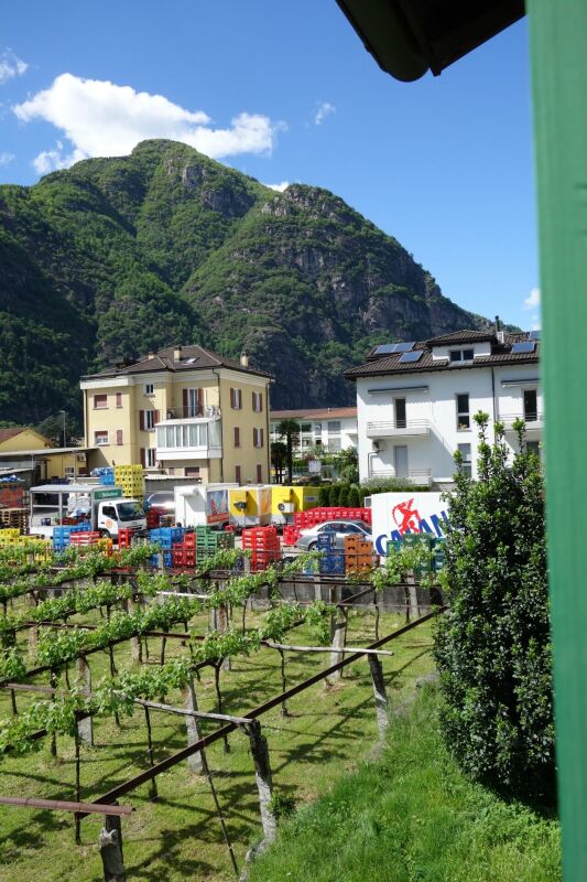 Terreno di 1289 m2 con licenza approvata