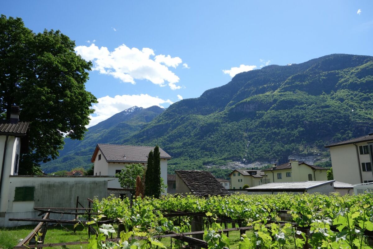 Terreno di 1289 m2 con licenza approvata