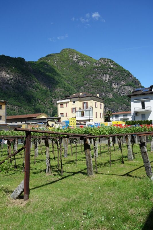 Terreno di 1289 m2 con licenza approvata