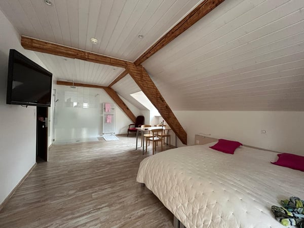 Hôtel historique au cœur de Moutier à vendre 14