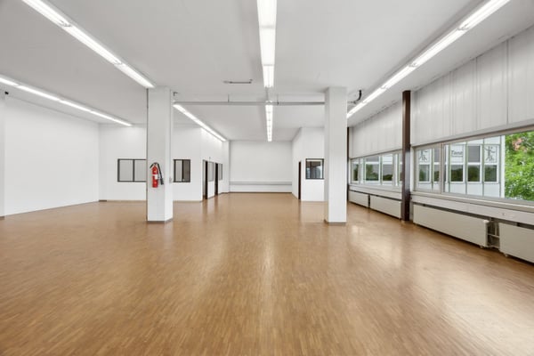 Vielseitige Gewerbe-/Lagerräumlichkeiten 2