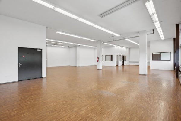 Vielseitige Gewerbe-/Lagerräumlichkeiten 3