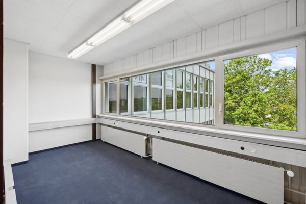 Vielseitige Gewerbe-/Lagerräumlichkeiten 6