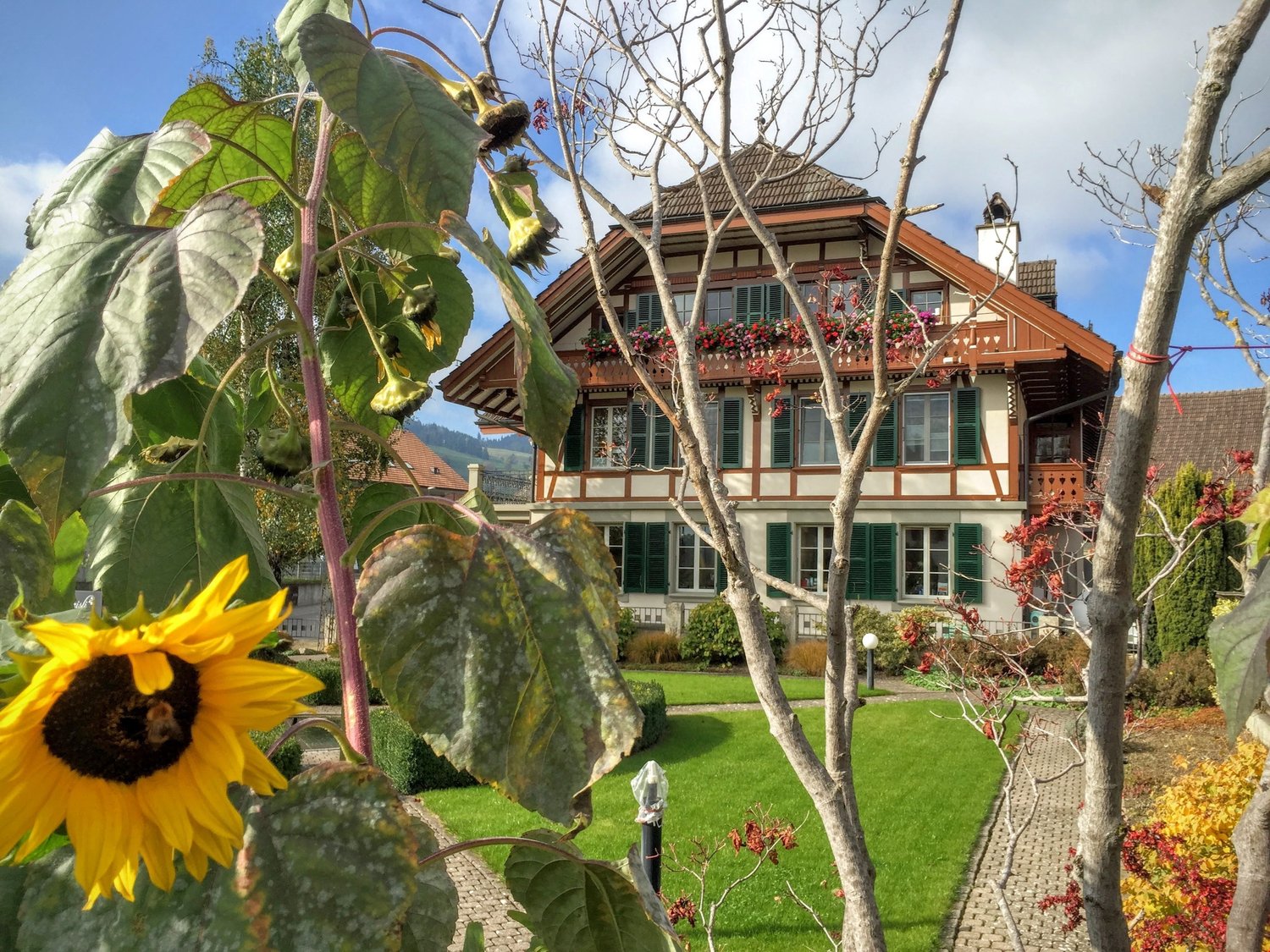 Bild Dachwohnung 140m2 mit viel Charme, Lift, Sauna, Galerie usw.