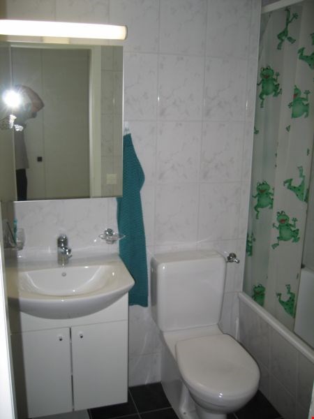 Originelle 2,5 Zimmer-Dachwohnung 9