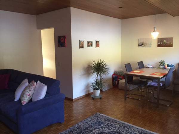 Originelle 2,5 Zimmer-Dachwohnung 7