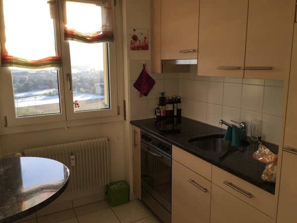 Originelle 2,5 Zimmer-Dachwohnung 10