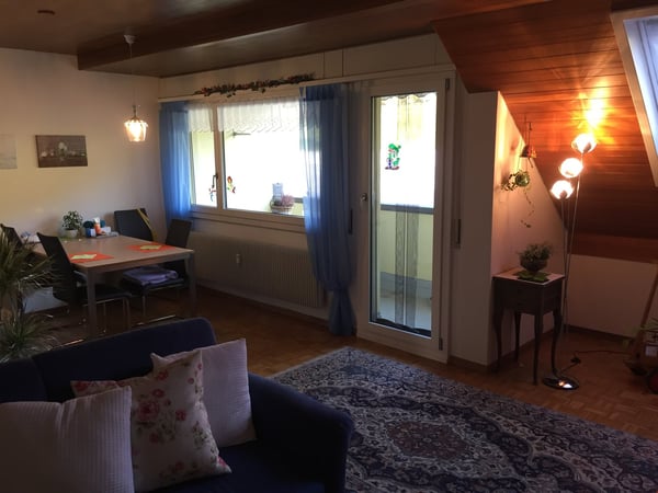 Originelle 2,5 Zimmer-Dachwohnung 6