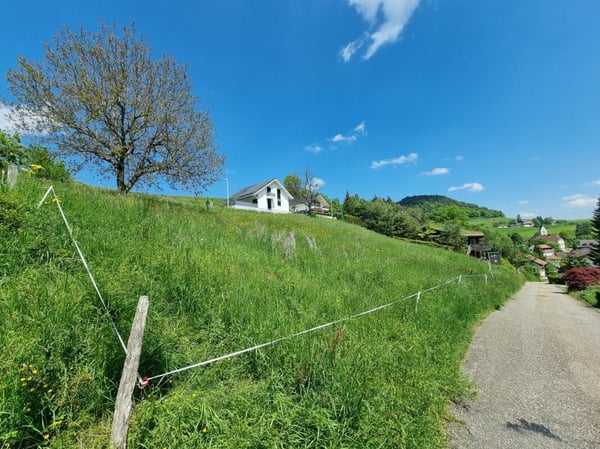 Baugrundstück am Südhang mit unverbaubarer Weitsicht 7