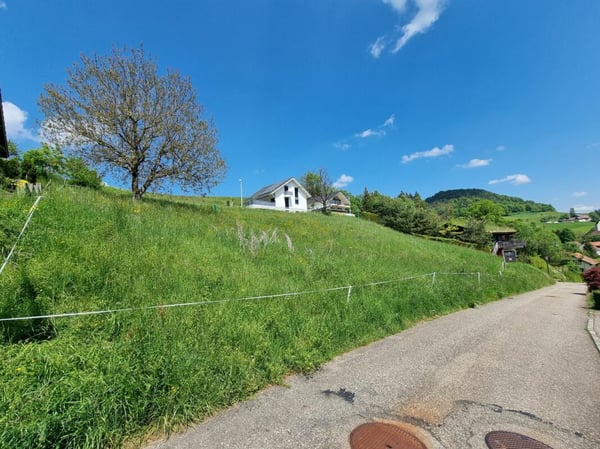 Baugrundstück am Südhang mit unverbaubarer Weitsicht 3