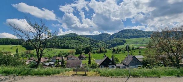 Baugrundstück am Südhang mit unverbaubarer Weitsicht 11