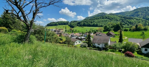 Traumgrundstück am Südhang von Bretzwil! 5
