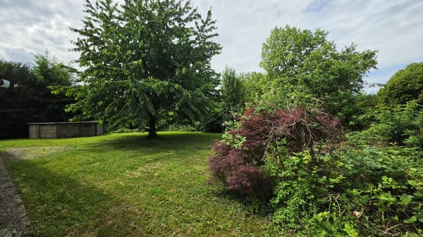 Grosszügigies Einfamilienhaus mit grossem Garten und Weitblick 19