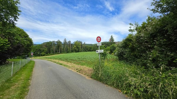 Grosszügigies Einfamilienhaus mit grossem Garten und Weitblick 21