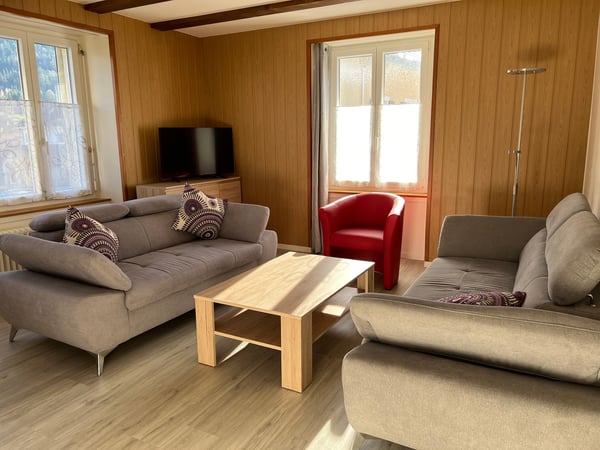 Appartement lumineux meublé de 3 pièces (possibilité d'enlever les meubles) 8