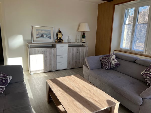 Appartement lumineux meublé de 3 pièces (possibilité d'enlever les meubles) 9