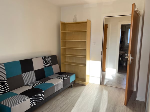 Appartement lumineux meublé de 3 pièces (possibilité d'enlever les meubles) 6
