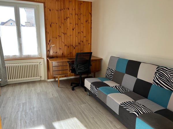 Appartement lumineux meublé de 3 pièces (possibilité d'enlever les meubles) 5