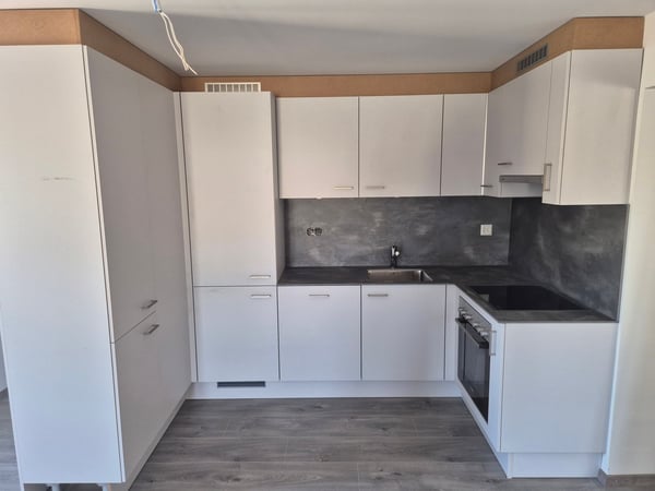 Appartement 2.5 pièces rénové transformable en 3 pièces 1