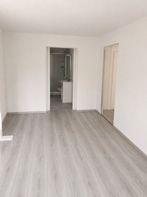 Appartement 2.5 pièces rénové transformable en 3 pièces 5