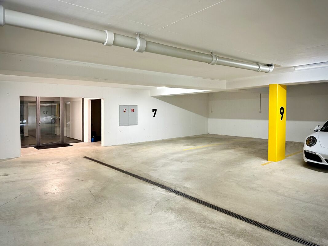 Unvergleichliche Terrassenwohnung mit See- und Alpensicht
