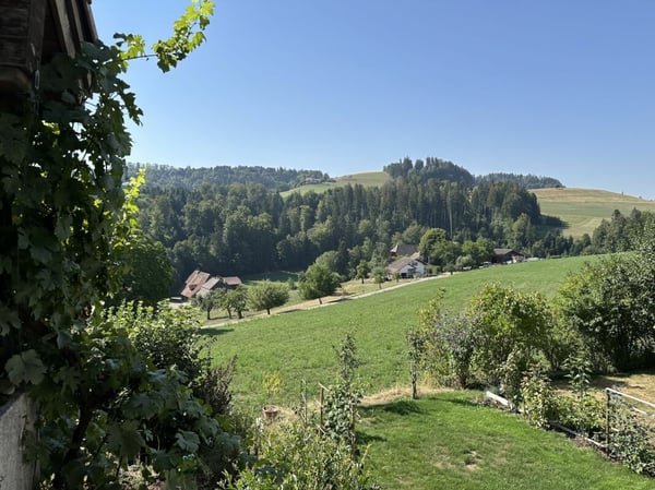 Hübsches Reihenmittelhaus mit einmaliger Aussicht 9