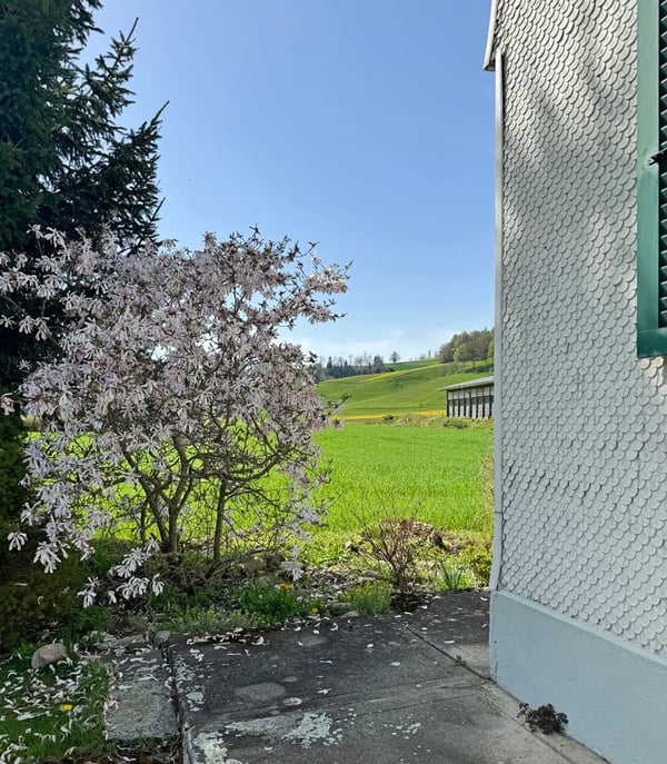 Ursenbach