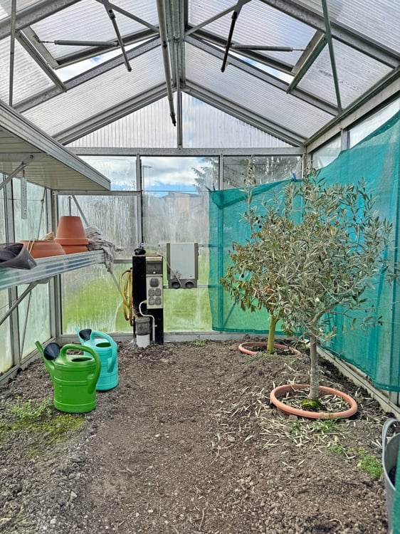 ...grosses Haus, herrlicher Garten, erw…