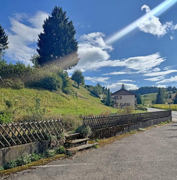 ...urig schön mit grossem Grundstück - tolles Familienhaus... 12