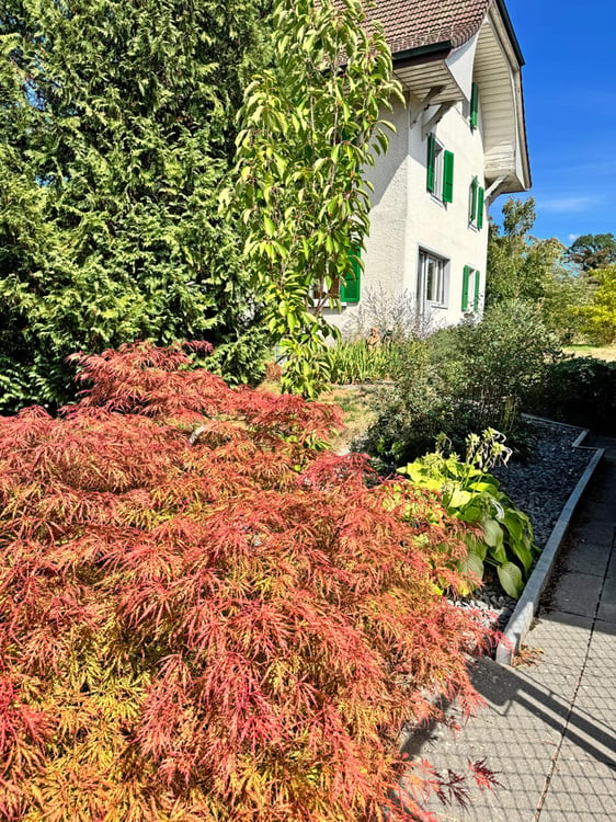 ...grosses Grundstück an bester Lage mit stilvollem Altbau... 5