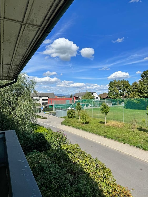 ...grosses Grundstück an bester Lage mit stilvollem Altbau... 17