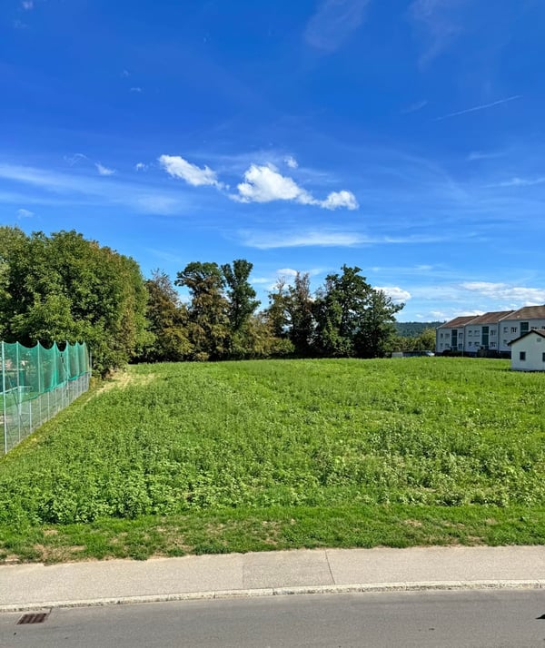 ...grosses Grundstück an bester Lage mit stilvollem Altbau... 18