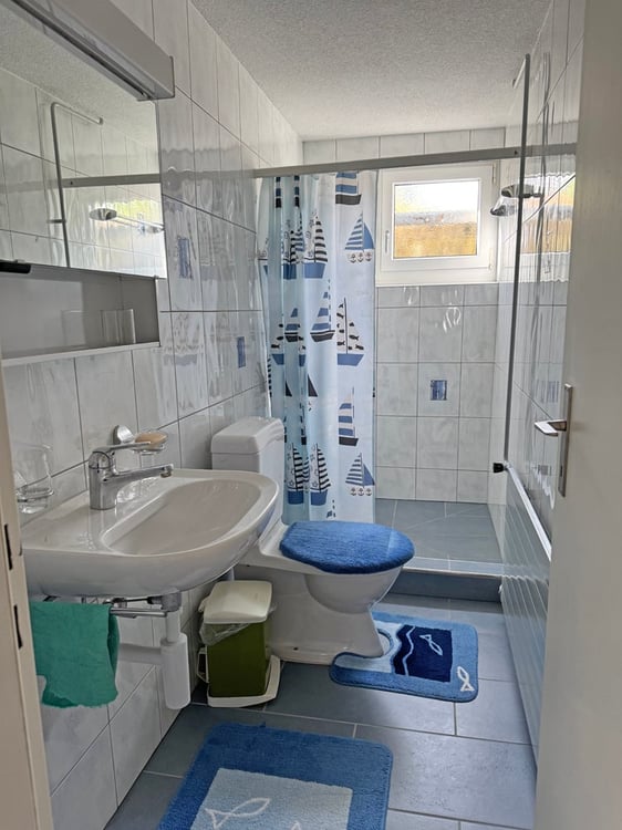 ...grosses Haus, herrlicher Garten, erweiterbar auf 7.3 Zimmer... 16