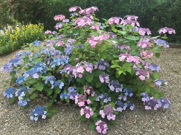 Schöner wohnen am Egelsee..... 16