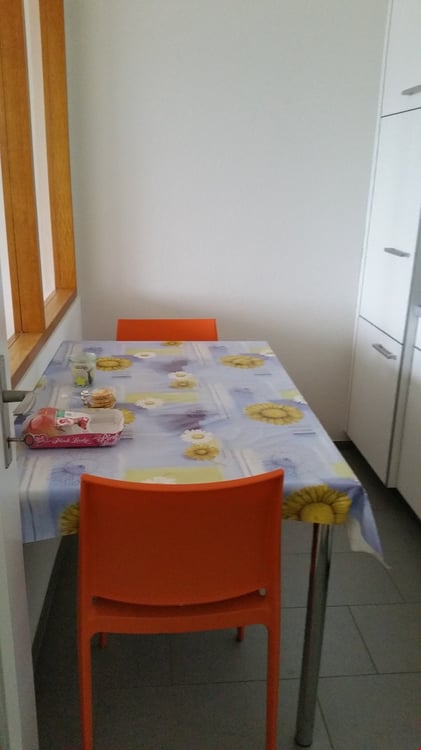 Ideale Singelwohnung an ruhiger und doch zentraler Lage, herrlicher Garten mit Grillhaus inkl. 2