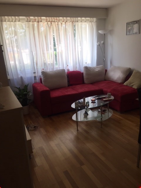 Ideale Singelwohnung an ruhiger und doch zentraler Lage, herrlicher Garten mit Grillhaus inkl. 3