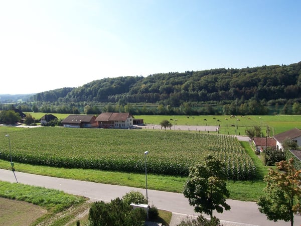 Walliswil b. Niederbipp