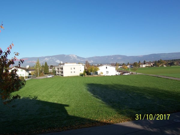 ***grüne Oase*** 1 1/1 - Zi-Wohnung im Grünen*** renoviert! *** 11