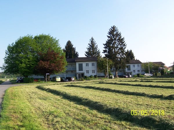 ***grüne Oase*** 1 1/1 - Zi-Wohnung im Grünen*** renoviert! *** 10