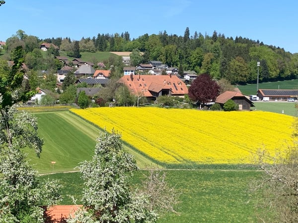 *** Tag der offenen Tür *** Grandios 228 m2! *** Stalderhof Seeberg! *** 105 m2 Wohn/Esszimmer! *** 2