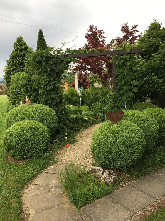 *** Tag der offenen Tür *** Grandios 228 m2! *** Stalderhof Seeberg! *** 105 m2 Wohn/Esszimmer! *** 46