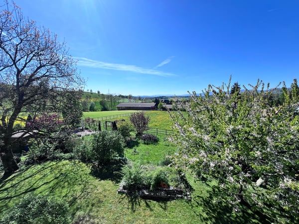 *** Tag der offenen Tür *** Grandios 228 m2! *** Stalderhof Seeberg! *** 105 m2 Wohn/Esszimmer! *** 55