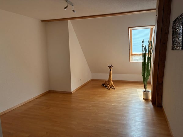 *** Tag der offenen Tür *** Grandios 228 m2! *** Stalderhof Seeberg! *** 105 m2 Wohn/Esszimmer! *** 37
