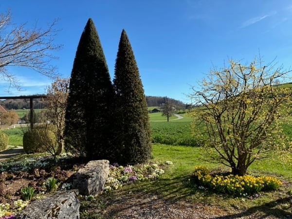 *** Tag der offenen Tür *** Grandios 228 m2! *** Stalderhof Seeberg! *** 105 m2 Wohn/Esszimmer! *** 48