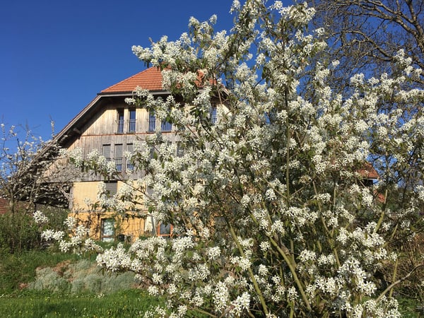 *** Tag der offenen Tür *** Grandios 228 m2! *** Stalderhof Seeberg! *** 105 m2 Wohn/Esszimmer! *** 4