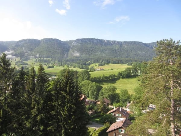 Attraktives Mehrfamilienhaus in Moutier – 9 Wohnungen, Garagen & Balkone 4